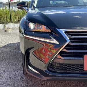 レクサス　NX200t　【総合評価優良車】