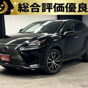 LEXUS レクサス　NX200t　【総合評価優良車】