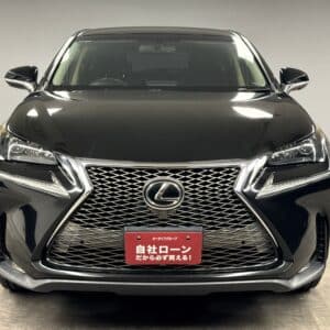 LEXUS レクサス　NX200t　【総合評価優良車】