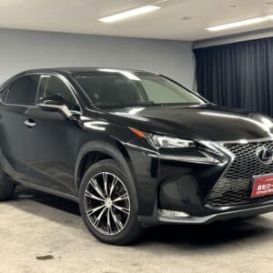 LEXUS レクサス　NX200t　【総合評価優良車】