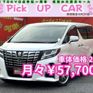 ALPHRD　アルファード　250S　【総合評価優良車】