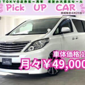 ALPHARD　アルファード　240S　【後期型】【総合評価優良車】【カスタム】