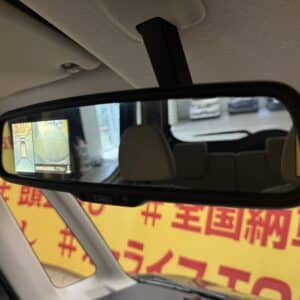 DAYZROOX　デイズルークス　X