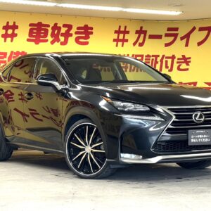 LEXUS レクサス　NX200t　Ｉパッケージ 【総合評価優良車】【カスタム】