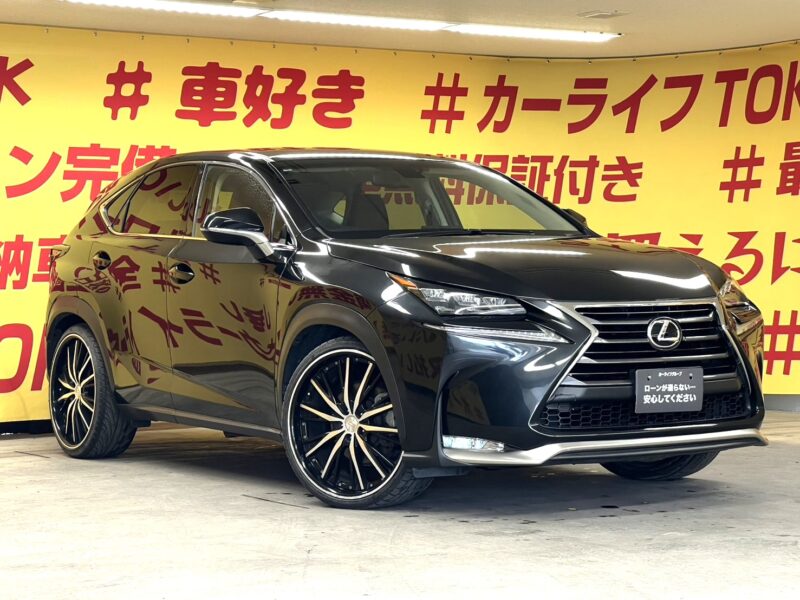 LEXUS レクサス NX200t Iパッケージ 【総合評価優良車】【カスタム】