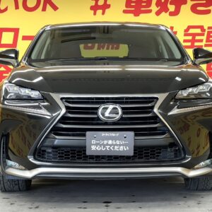 LEXUS レクサス　NX200t　Ｉパッケージ 【総合評価優良車】【カスタム】