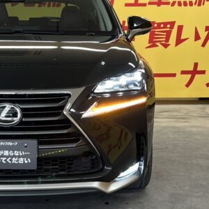 LEXUS レクサス　NX200t　Ｉパッケージ 【総合評価優良車】【カスタム】