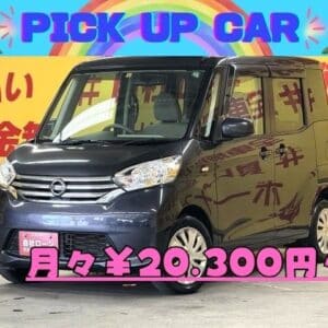 DAYZROOX　デイズルークス　X