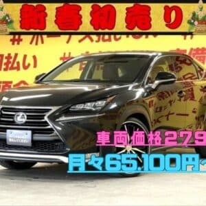 LEXUS レクサス　NX200t　Ｉパッケージ 【総合評価優良車】【カスタム】
