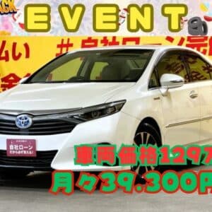 SAI　SAI S Cパッケージ