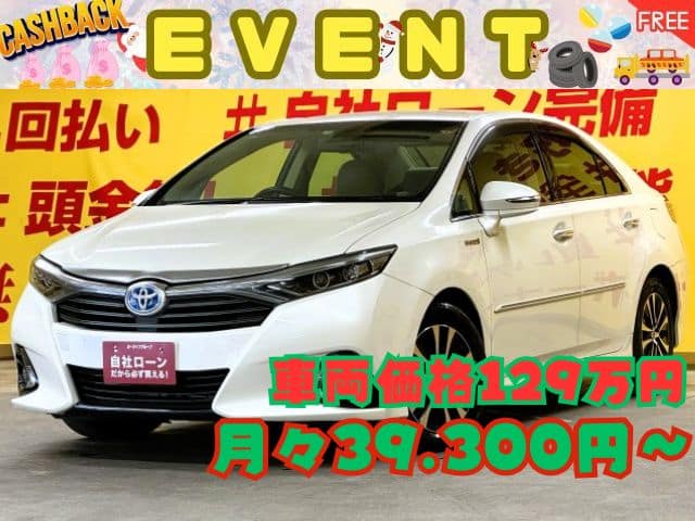 SAI　SAI S Cパッケージ