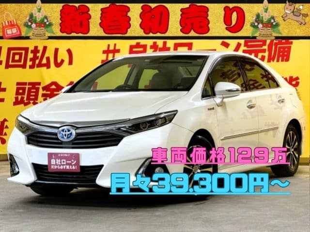 SAI　SAI S Cパッケージ