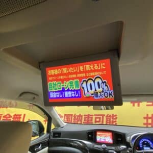 ELGRAND　エルグランド　ライダー 白本革シートマニュアルシート  【特別仕様車】