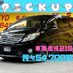 ALPHARD　アルファードHV　SR 【総合評価優良車】【４WD】【カスタム】