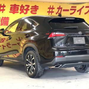 LEXUS　レクサス　NX200ｔ　Ｆスポーツ　【総合評価優良車】【車検2年付】