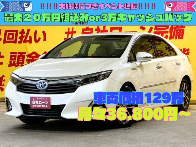 SAI　SAI S Cパッケージ