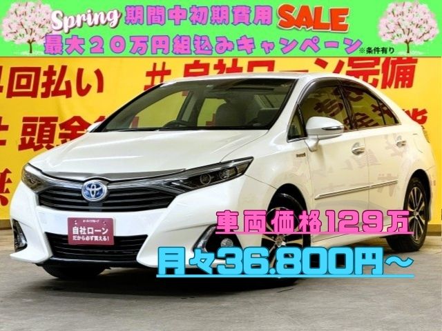 SAI　SAI S Cパッケージ