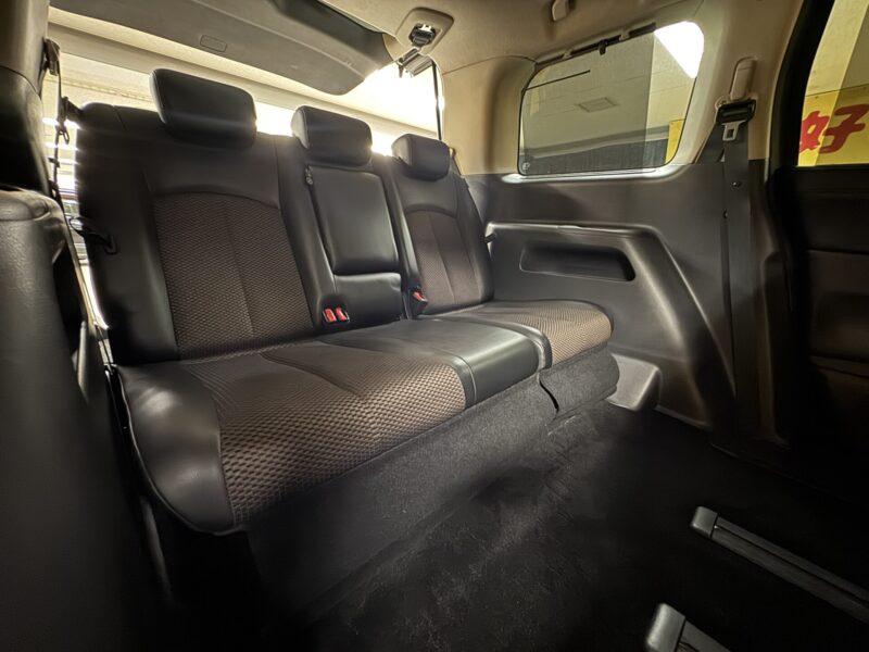 ELGRAND エルグランド 250ハイウェイスター 【車検2年付】
