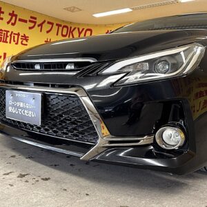 MARK X 　マークX　２５０G 　Ｓパッケージリラックスセレクション【特別仕様車】【カスタム】【総合評価優良車】